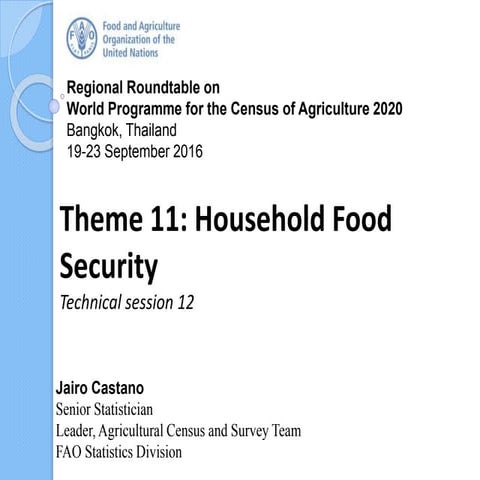 Census Theme 11 – Household food security : Technical Session 12