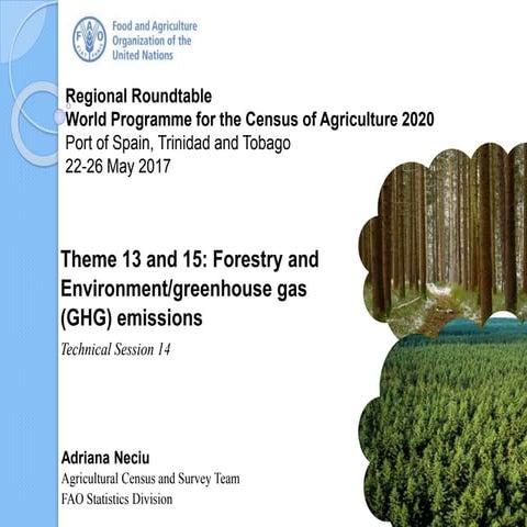 Census Themes 13 and 15 – Forestry and Environment/GHG emissions