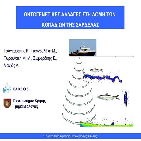 Οντογενετικές αλλαγές στη δομή των κοπαδιών της σαρδέλας. Τσαγκαράκης Κ.
