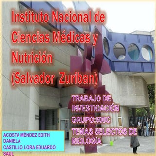 Tsb trabajo de investigacion (labor...