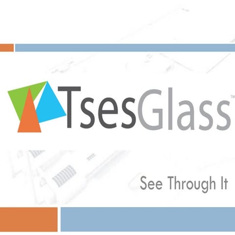 Tses Plass Presentation