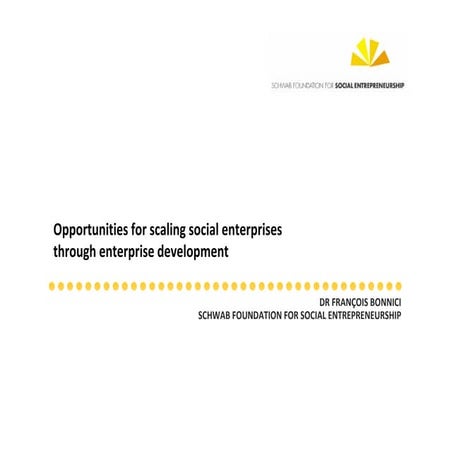 Opportunites for scaling social enterprises - Tshikululu Serious Enterprise D...