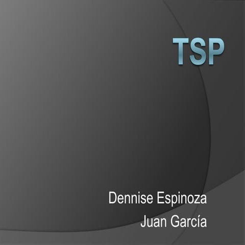 Team Software Process (TSP)