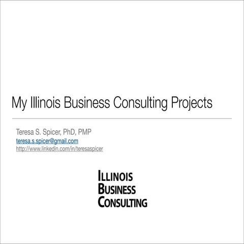 My Consulting Projects