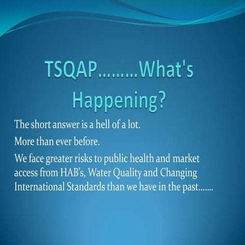 TSQAP - What's Happening - Hayden