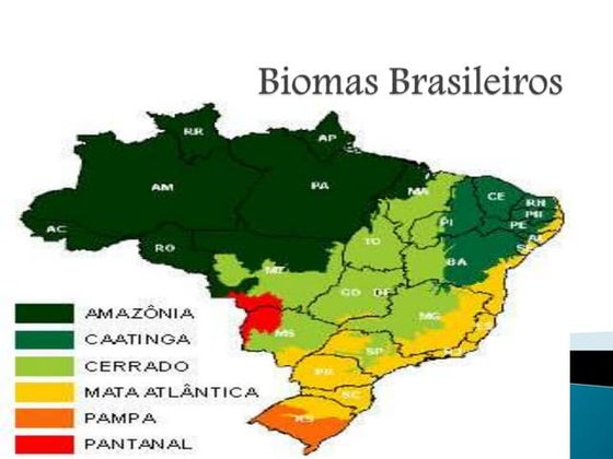 Os biomas Brasileiros - Mapa mental dos biomas brasileiros. | PDF