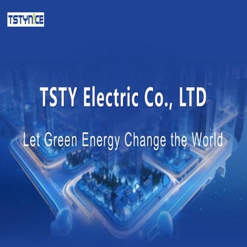 TSTY Electric Co., Ltd: Soluciones Innovadoras en Energía Verde y ...