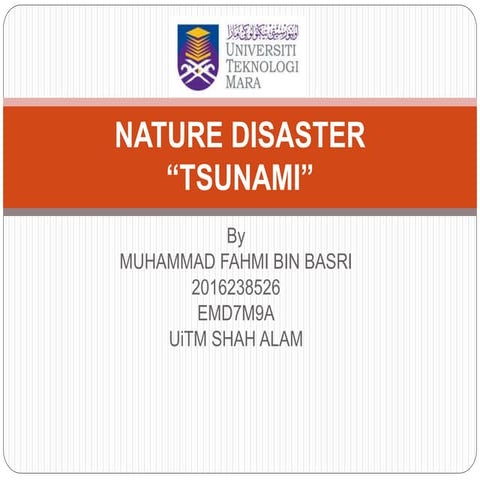 Tsunami 