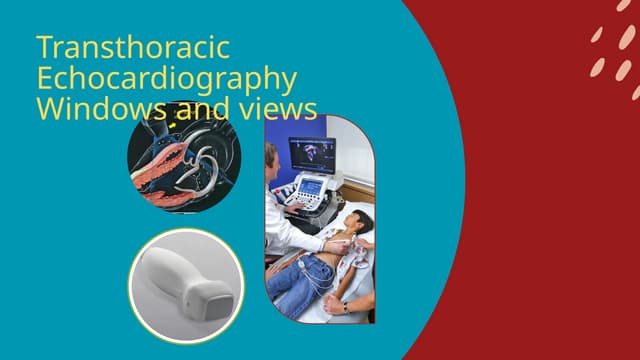 TTE WINDOWS AND VIEWS . The heart is surrounded by lung tissue and is hidden ...