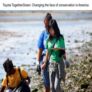 Toyota TogetherGreen Diversity 
