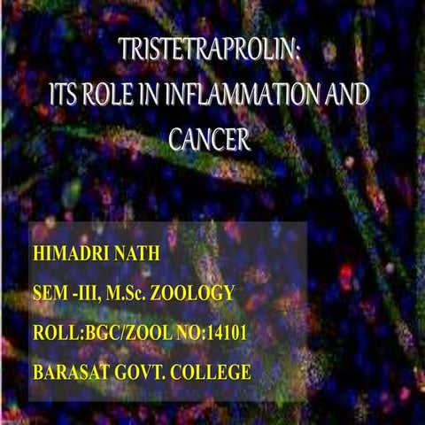 TRISTETRAPROLIN - its role in inflammation and cancer