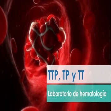 TP y TPT | PPTX