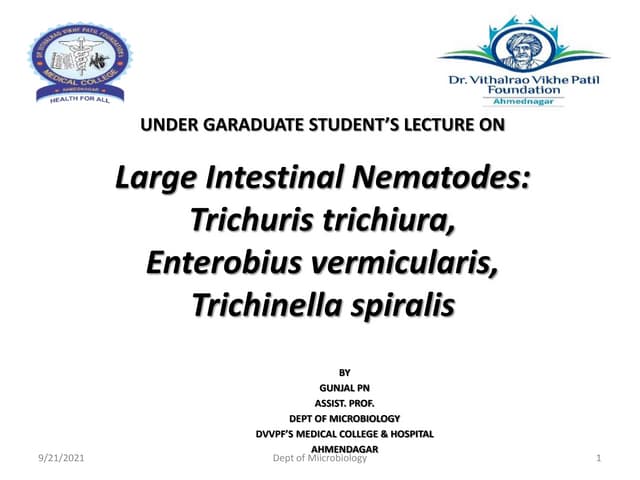 T trichiura e vermicularis t spiralis