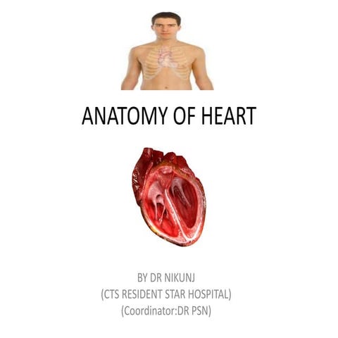 Anatomy of heart dr nikunj shekhada (mbbs,ms gen surg ,dnb cts SR) 11 6-18