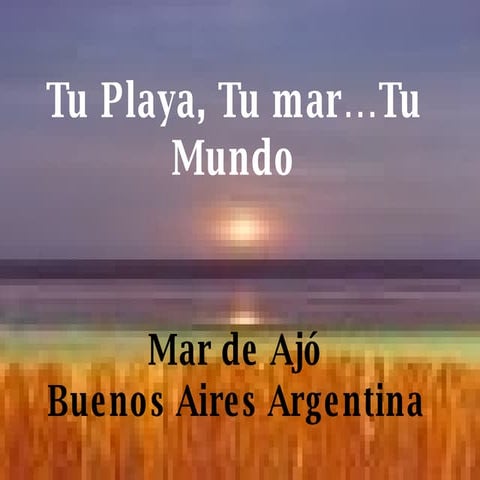 Tu playa, tu mar, tu mundo