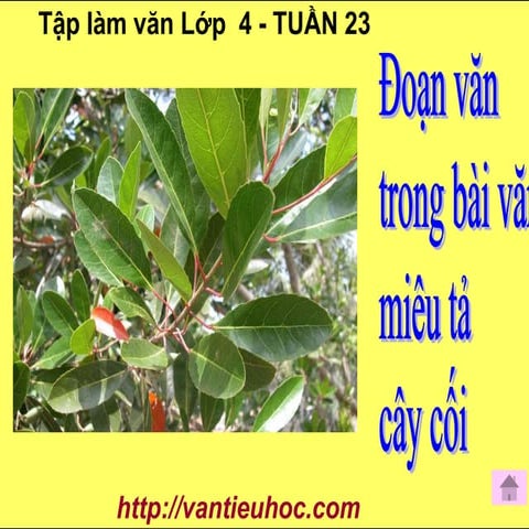 Tuan 23 tra bai van ke chuyen | PPT