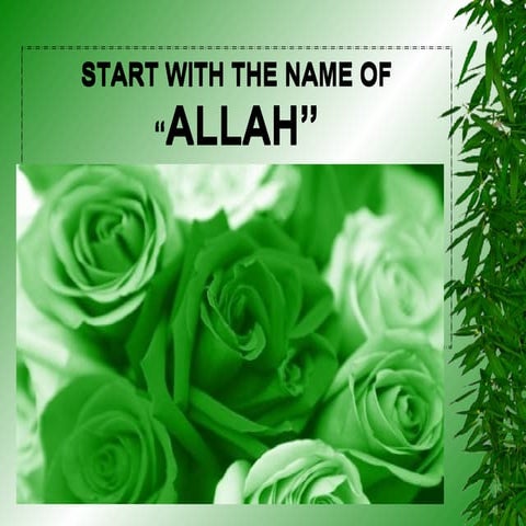 Tuberc 1198640711146855-2