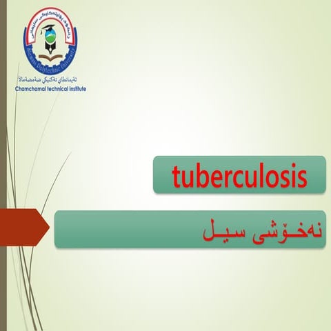 TUBERCULOSIS | PPTX