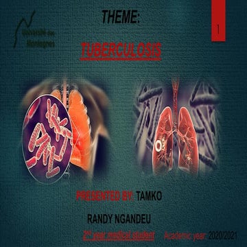 Tuberculosis presentation and report 2020 | PDF