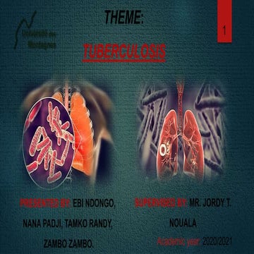An Introduction to tuberculosis (basic things to know) .pptx
