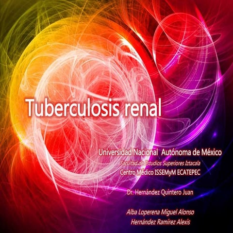 Tuberculosis renal