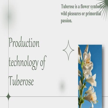 Tuberose.pptx