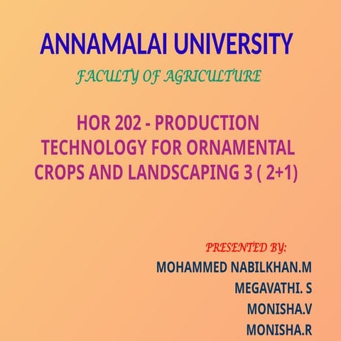 Production technology of  TUBE ROSE.pptx