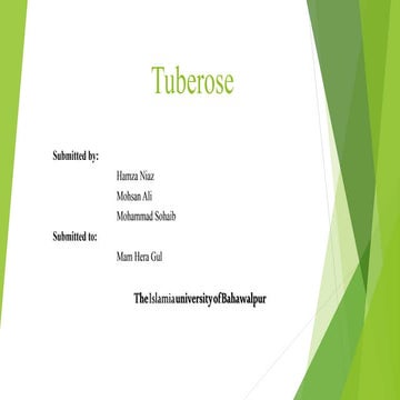 tuberose1234.pptx