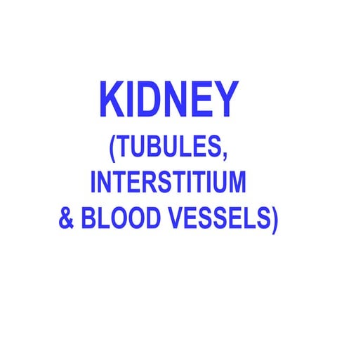 Tubulointerstitial diseases of Kidney