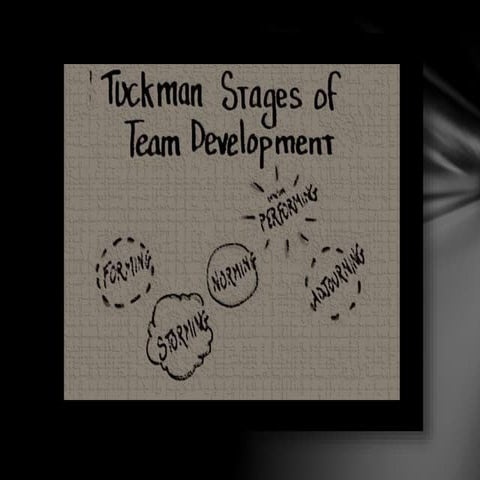 Tuckman's stages of group development