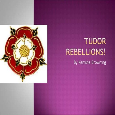 Tudor rebellions!
