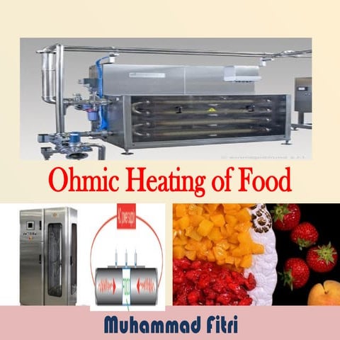 Comprehensive Overview of Ohmic Heating Technology in Food Processing ...