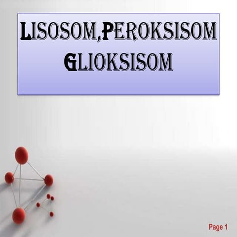 Biologi XI Organela SEL (Lisosom,Peroksisom, Glioksisom)