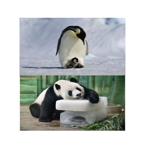 Tugas bahasa inggris 8 b