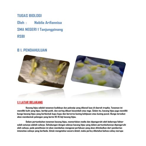 Laporan Ilmiah (pertumbuhan kecambah)