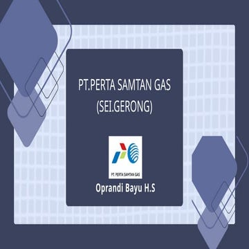 Comprehensive Overview of PT Perta-Samtan Gas Operations and LPG ...