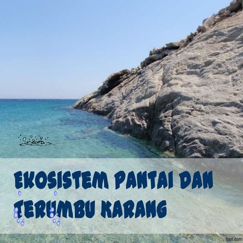 Ekosistem Pantai & Terumbu karang
