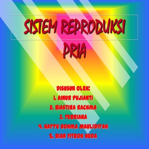 SISTEM REPRODUKSI PRIA
