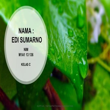 Efective Communication (Communication Skill)