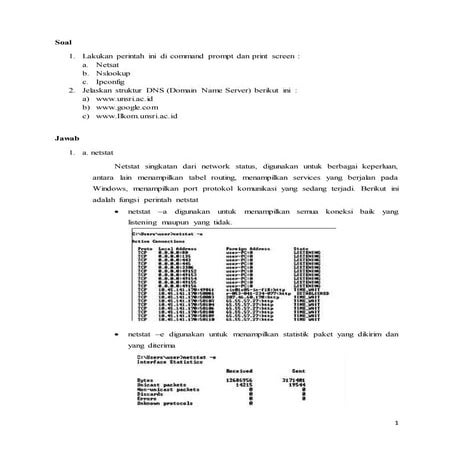 impementasi nts, nslookup, netstat,ipconfig,dns
