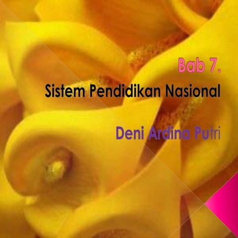 Tugas pengantar pendidikan deni