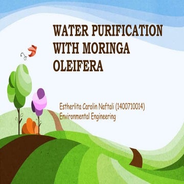 WATER PURIFICATION WITH MORINGA  OLEIFERA