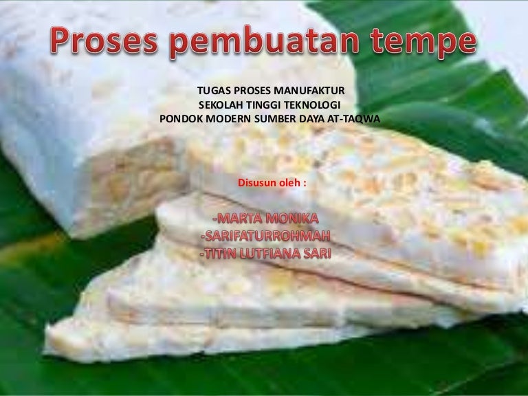 Tugas Presentasi Pembuatan Tempe