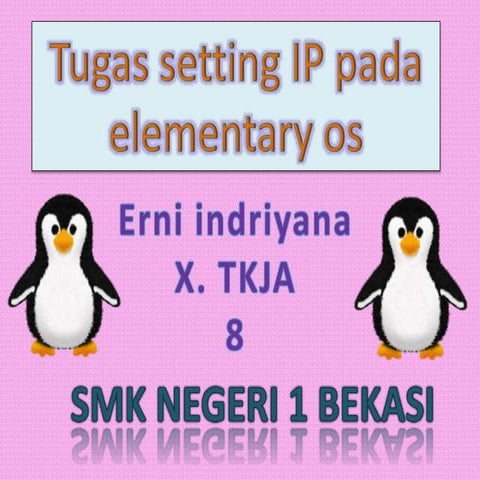   Tugas setting ip pada elementary os