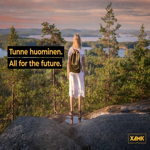 Riitta Tuikkanen: Ikäruoka 2.0-hanke* monipuolisten palvelujen kehittämiseksi