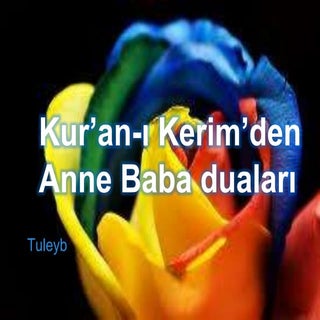 Tuleyb ana babaya saygı