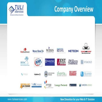 Tuli eServices_Magento portfolio