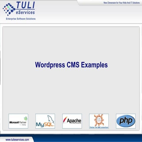 Tuli eServices_Wordpress Portfolio