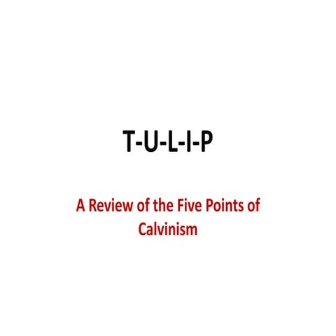 TULIP Calvinism Reviewed.ppt
