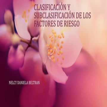 clasificacion y subclasificacion de factores de riesdo power point